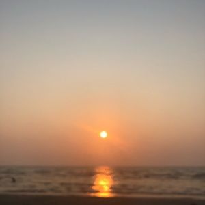 Meet your Posher, Sabrina